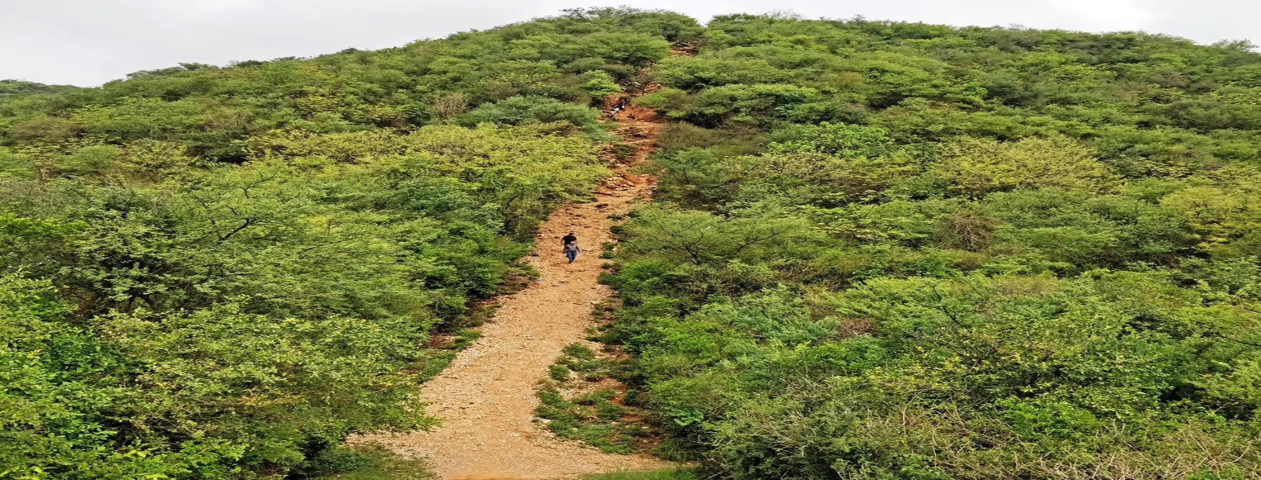 Image for Margalla Hike